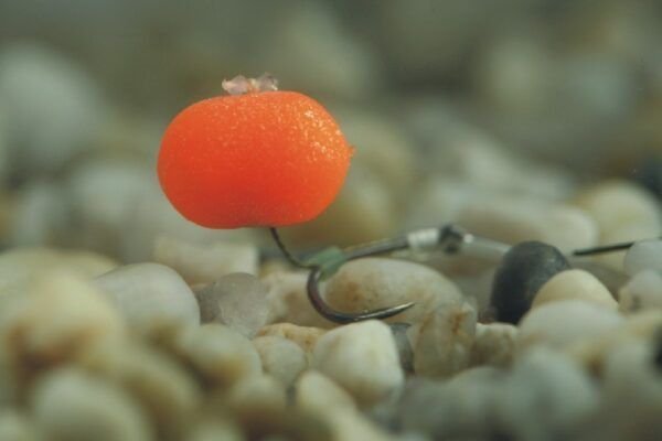 Enterprise Tackle Eternal Boilies Naranja Fluoro 15mm - Imagen 2