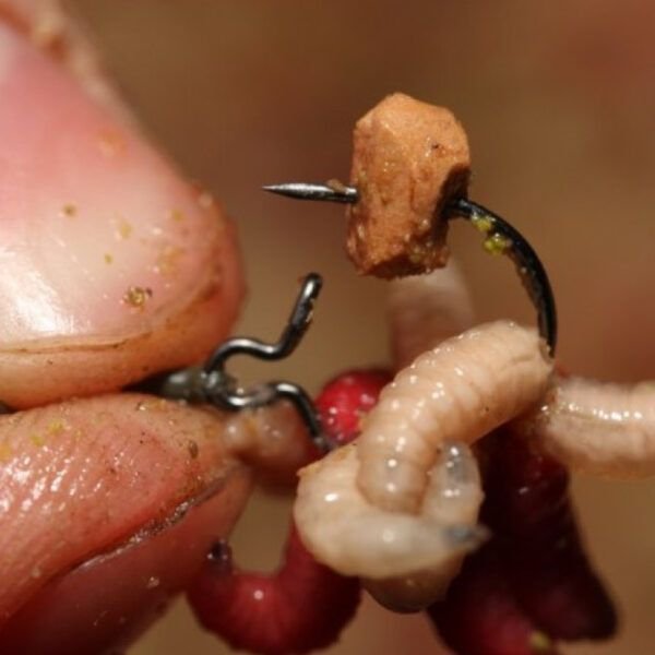 Korda Maggot Klip X Small - Imagen 5