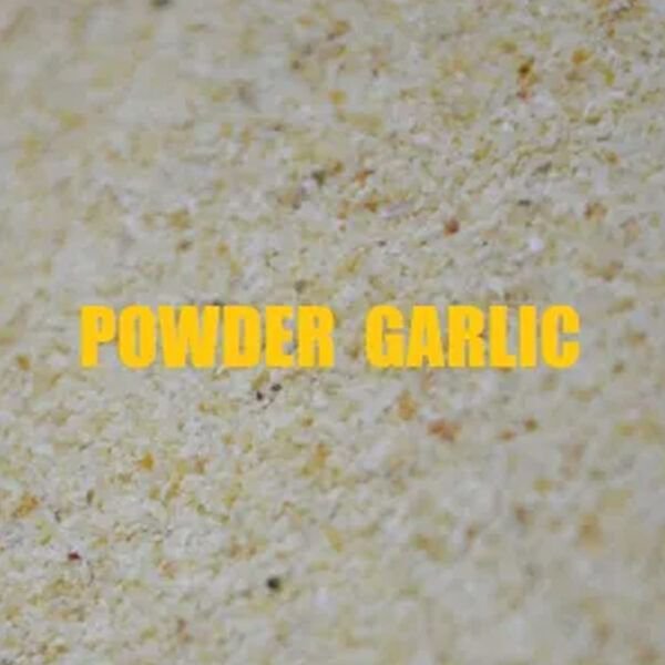 Massive Baits Garlic Powder 500gr