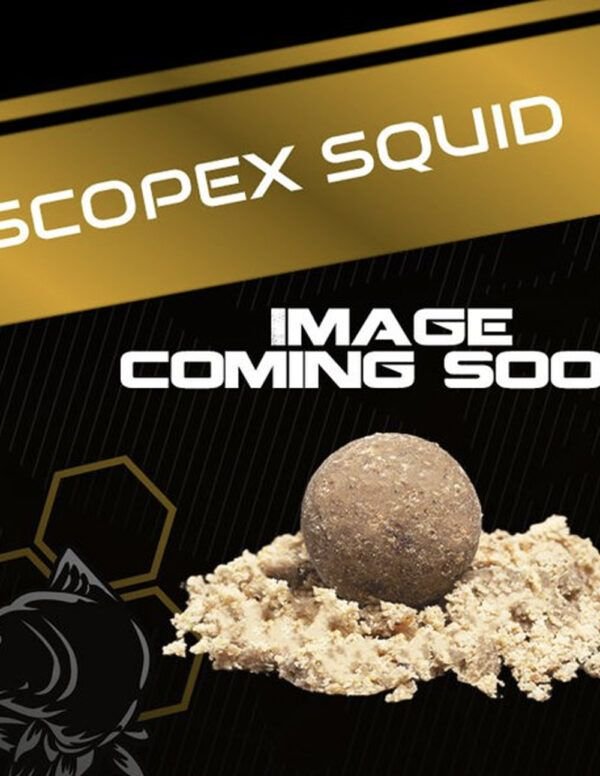 Nash Scopex Squid Stick Mix 1kg