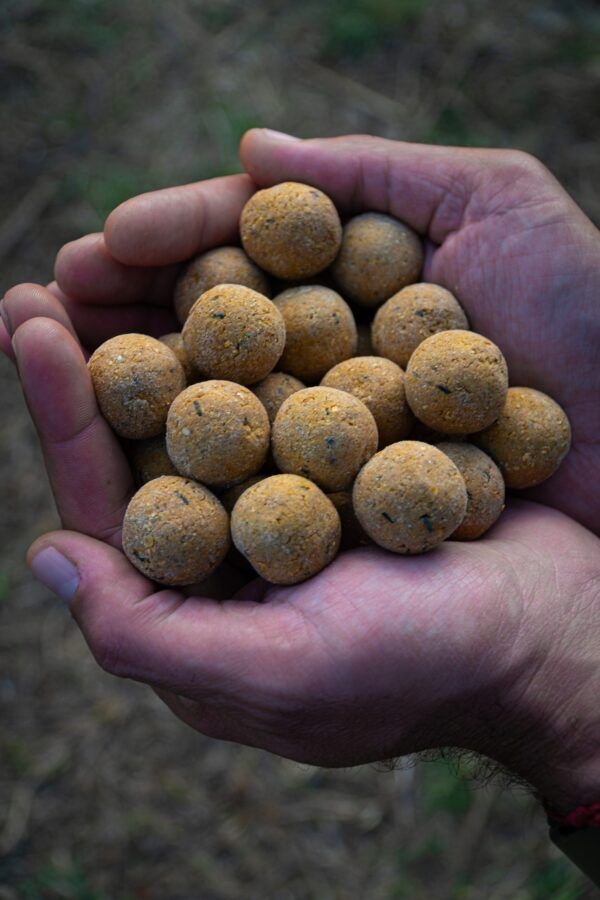 Pro Elite Baits Soluble Boilies 20mm Pineapple & Scopex  3,5 Kg - Imagen 2